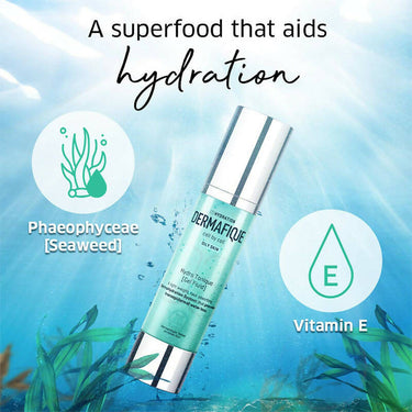 https://cdn.shopify.com/s/files/1/1857/6931/products/Sf6M1kSTp2.jpg?v=1699511488